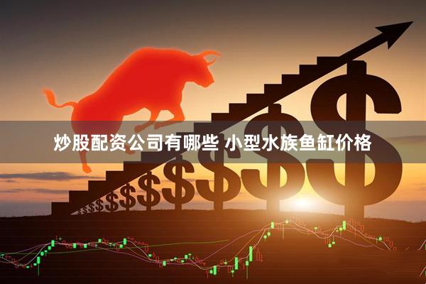 炒股配资公司有哪些 小型水族鱼缸价格