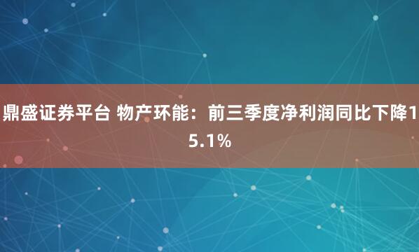 鼎盛证券平台 物产环能：前三季度净利润同比下降15.1%