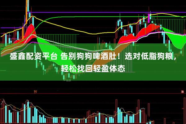 盛鑫配资平台 告别狗狗啤酒肚！选对低脂狗粮，轻松找回轻盈体态