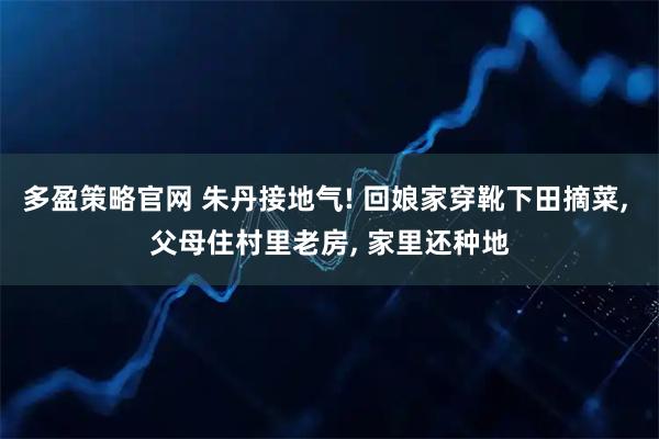 多盈策略官网 朱丹接地气! 回娘家穿靴下田摘菜, 父母住村里老房, 家里还种地