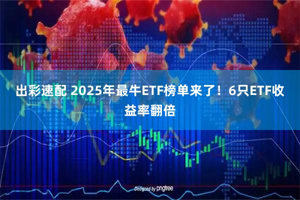 出彩速配 2025年最牛ETF榜单来了！6只ETF收益率翻倍