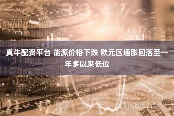 真牛配资平台 能源价格下跌 欧元区通胀回落至一年多以来低位